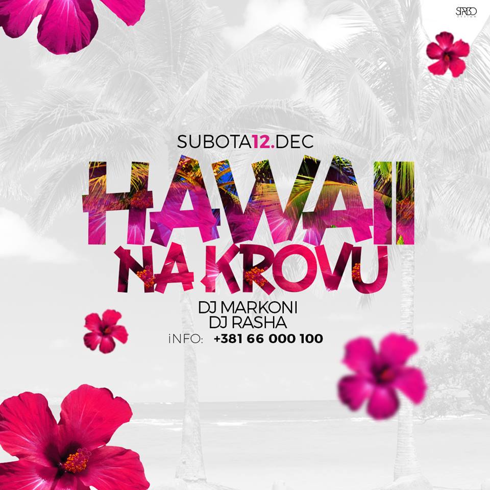 Hawaii party